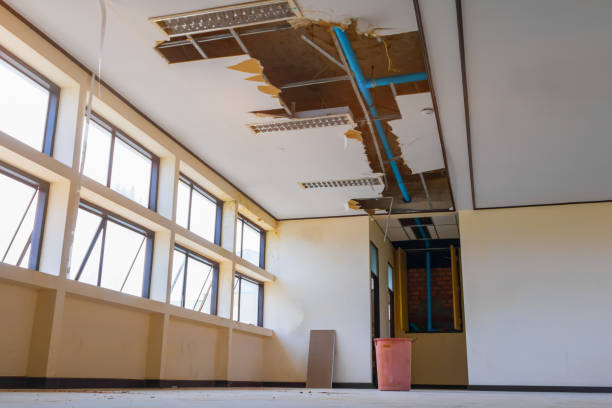 Best Water damage cleanup near me  in K I Sawyer, MI