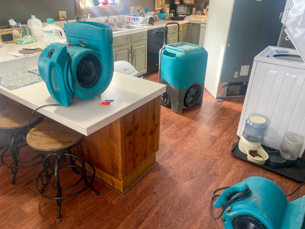 Best Water damage restoration specialists  in K I Sawyer, MI