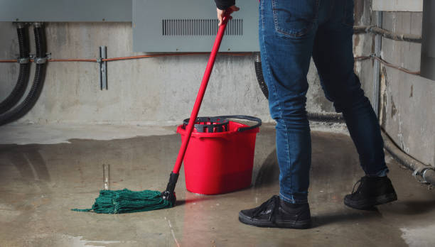  K I Sawyer, MI Water damage restoration Pros
