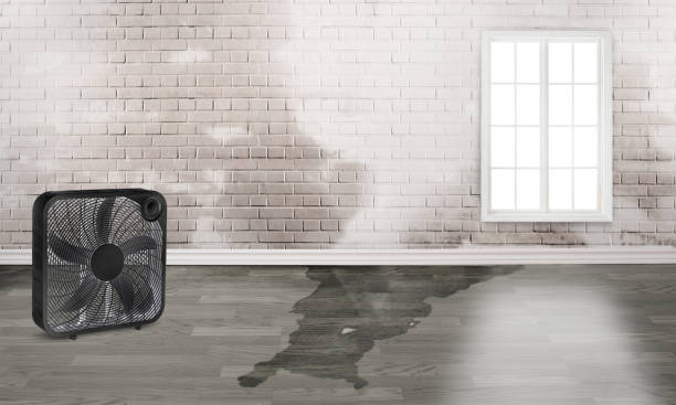 Best Ceiling water damage repair  in K I Sawyer, MI