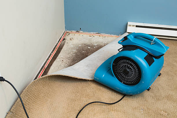 Trusted MI Water damage restoration Experts